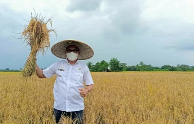 Bupati Morowali Utara Delis Julkarson Hehi.
